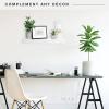 imageMCS Floating Shelf Room Decor Wooden Shelf Black 24 x 8 InchWhite