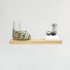 imageMCS Floating Shelf Room Decor Wooden Shelf Walnut Woodgrain 12 x 8 Inch Set of 2Natural