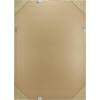 imageMCS Frameless Wall Mirror with Polished Edge 24x30 inch SilverBlack