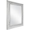 imageMCS Frameless Wall Mirror with Polished Edge 24x30 inch SilverGray Woodgrain