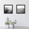 imageMCS Gallery Essential Picture Frames Photo Gallery Wall Frame Set with 4 x 6 Inch 5 x 7 Inch and 8 x 10 Inch Frames Black Woodgrain 10 PieceBlack Woodgrain