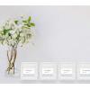 imageMCS Wedding Photo FramePlacecard Holder 69044 24Pack Rustic WhiteWhite
