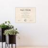 imageMCS Format Document Frame Diploma and Certificate Frame White 85 x 11 12Pack