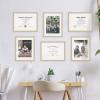 imageMCS Gallery Essential Certificate Document Frame Set 11 x 14 Matted Gallery Wall Frames Fit 85 x 11 Diplomas Documents ampamp Certificates White Woodgrain 6PackNatural Woodgrain