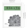imageMCS Gallery Essential Certificate Document Frame Set 11 x 14 Matted Gallery Wall Frames Fit 85 x 11 Diplomas Documents ampamp Certificates White Woodgrain 6PackWhite Woodgrain