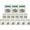imageMCS Gallery Essential Picture Frames Photo Gallery Wall Frame Set with 4 x 6 Inch 5 x 7 Inch and 8 x 10 Inch Frames White Woodgrain 7 PieceNatural Woodgrain