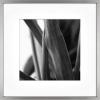 imageMCS Master ampamp Co Foundry Metal Gallery Wall Frame Dark Silver 11 x 14 in matted to 85 x 11 inDark Silver