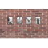imageMCS Framatic Fineline Aluminum Frame Black 8 x 10 in 4 pkBlack