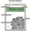 imageMCS Gallery Essential Frame Black Woodgrain 8 x 10 in 6 pkGray Wood Grain