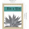 imageMCS Gallery Essential Frame Black Woodgrain 8 x 10 in 6 pkNatural Woodgrain