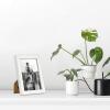 imageMCS Gallery Essential Frame Black Woodgrain 8 x 10 in 6 pkWhite Woodgrain