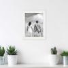 imageMCS Studio Document Frame Set Gallery Wall Frames Fit 85 x 11 Diplomas Documents ampamp Certificates White Woodgrain 4Pack