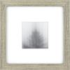 Rustic Gray