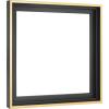 imageMCS Floating Frame with Canvas Included Art Frames for Canvas Paintings with Adhesive Fasteners and Hanging Hardware Black 12 x 16 InchBlack and Gold