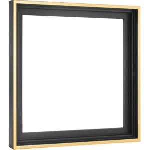imageMCS Floating Frame with Canvas Included Art Frames for Canvas Paintings with Adhesive Fasteners and Hanging Hardware Black 12 x 16 InchBlack and Gold