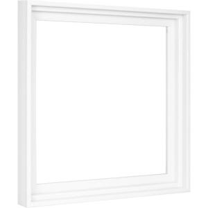 imageMCS Floating Frame with Canvas Included Art Frames for Canvas Paintings with Adhesive Fasteners and Hanging Hardware Black 12 x 16 InchWhite