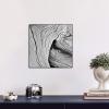 imageMCS 4x6 Inch Format Frame Black 10439Black