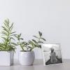 imageMCS Format Picture Frames Gallery Wall Frames White 4 x 4 12Pack