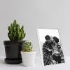 imageMCS Format Picture Frames Gallery Wall Frames White 5 x 7 6PackWhite