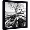 imageMCS Gallery Wooden Picture Frame for Canvas Art Boards Photos and more White 8x10 with 5x7 MatBlack