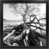 imageMCS Gallery Wooden Picture Frame for Canvas Art Boards Photos and more White 8x10 with 5x7 MatBlack