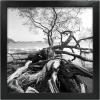 imageMCS Gallery Wooden Picture Frame for Canvas Art Boards Photos and more White 8x10 with 5x7 MatBlack