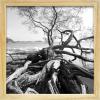 imageMCS Gallery Wooden Picture Frame for Canvas Art Boards Photos and more White 8x10 with 5x7 MatNatural
