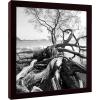 imageMCS Gallery Wooden Picture Frame for Canvas Art Boards Photos and more White 8x10 with 5x7 MatWalnut