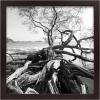 imageMCS Gallery Wooden Picture Frame for Canvas Art Boards Photos and more White 8x10 with 5x7 MatWalnut