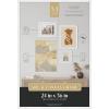 imageMCS Gallery Wooden Picture Frame for Canvas Art Boards Photos and more White 8x10 with 5x7 MatWhite