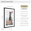 imageMCS Trendsetter 16x24 Poster Frame Black HighGloss Vertical ampamp Horizontal Wall Hanging Large Picture Frame for Photos Posters ampamp Art Prints 1PackEverline  13x19 matted to 14x20