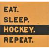 imageMCS Expandable 10Page Sports Scrapbook Album with 12 x 12 Inch Pages 135 x 125 Inch Hockey