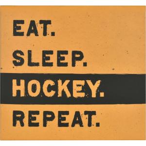 imageMCS Expandable 10Page Sports Scrapbook Album with 12 x 12 Inch Pages 135 x 125 Inch Hockey